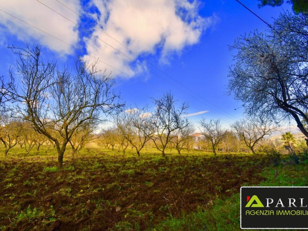 Terreno a Canicattì in CONTRADA MONTAGNA - Foto 3
