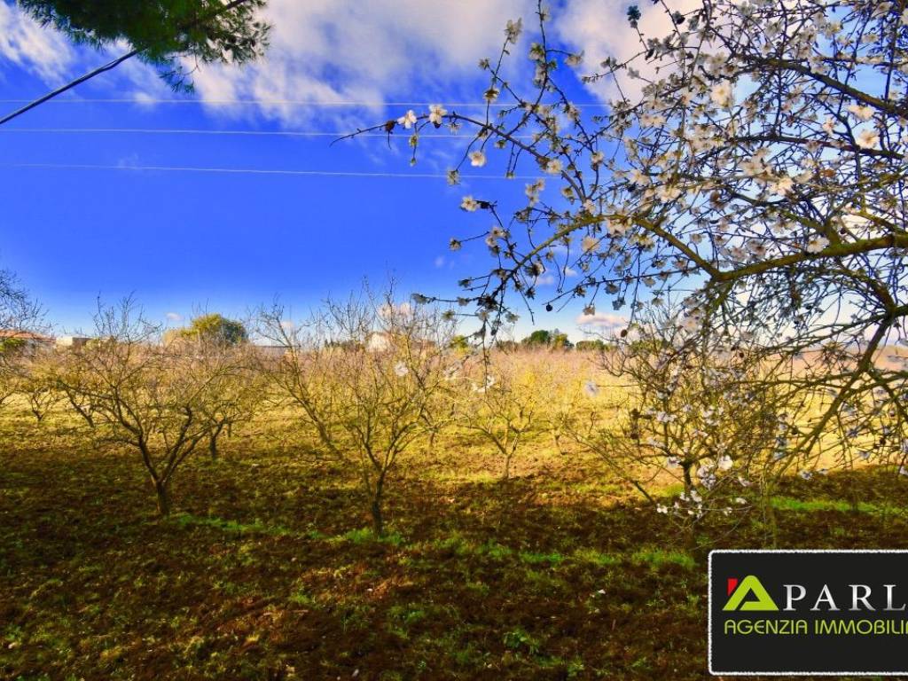 Terreno a Canicattì in CONTRADA MONTAGNA - Foto 4
