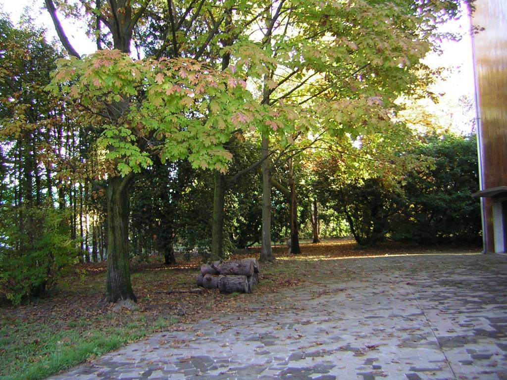 Terreno a Noventa padovana - Foto 3