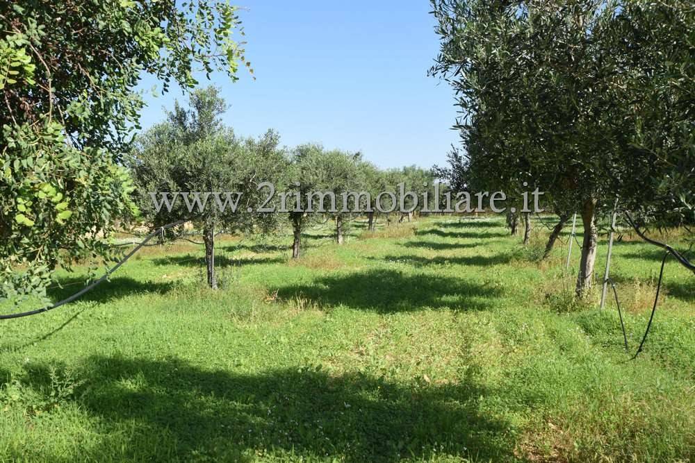 Villa a Mazara del vallo in VIA FARFANTAZZO - Foto 4