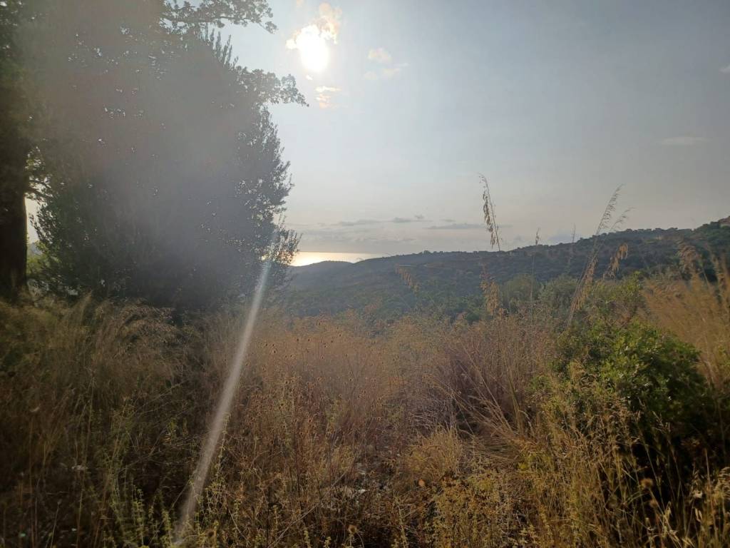Rustico / casale a Prignano cilento in Via delle Ginestre - Foto 3