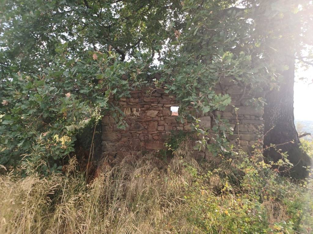 Rustico / casale a Prignano cilento in Via delle Ginestre - Foto 4