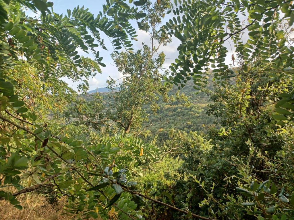Terreno a Prignano cilento in Via Cerrine - Foto 5