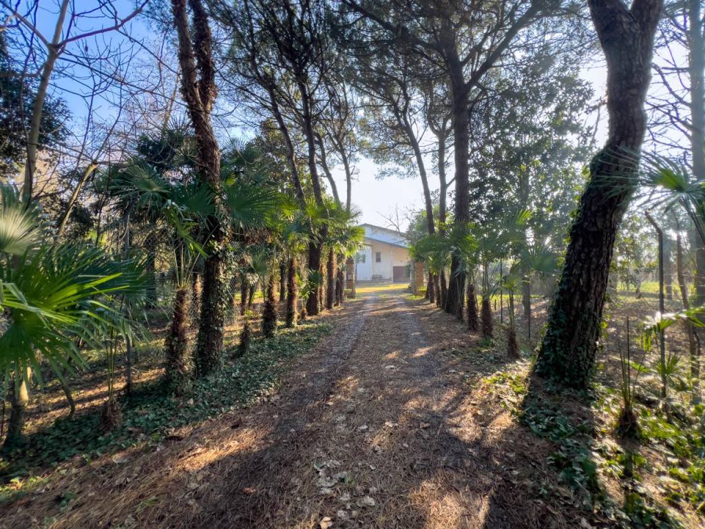 Casa indipendente a Correzzola - Foto 3