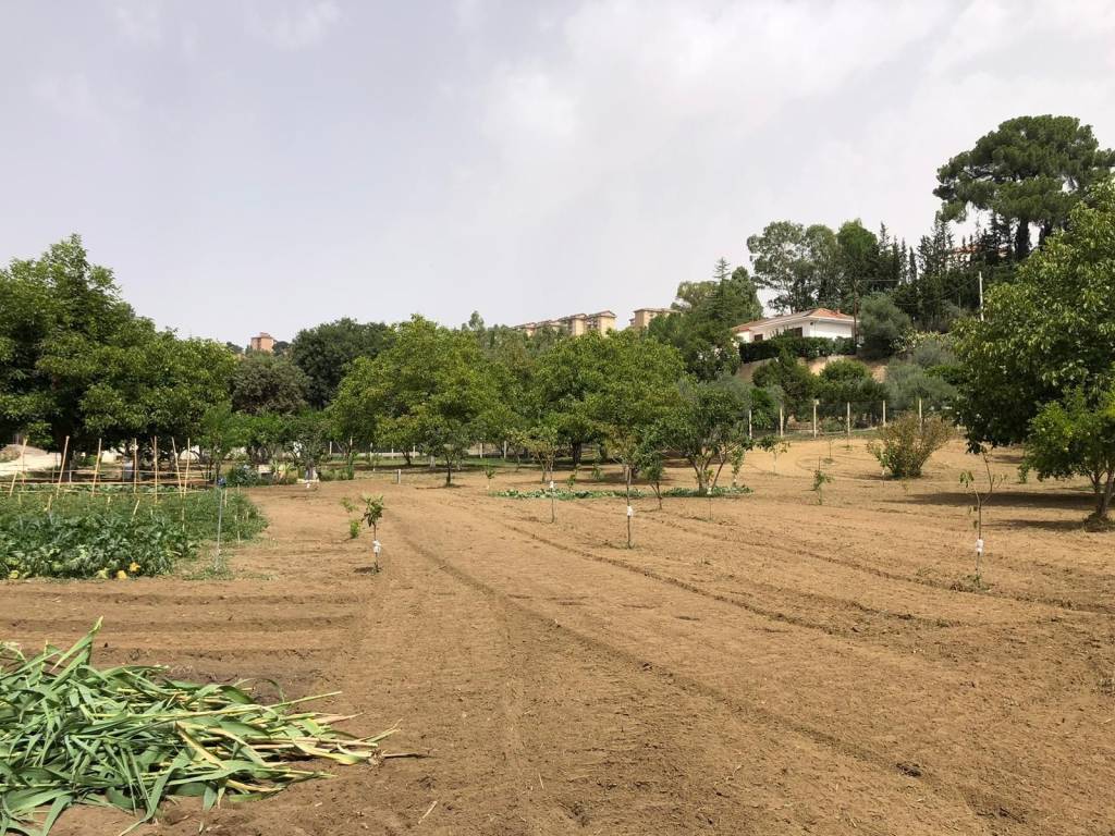 Terreno a Caltanissetta in Viale Stefano Candura - Foto 5