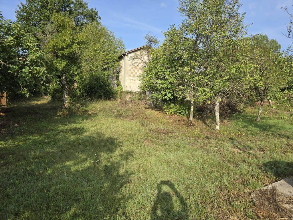 Rustico / casale a Ceccano in Via San Giuseppe, 11 - Foto 5