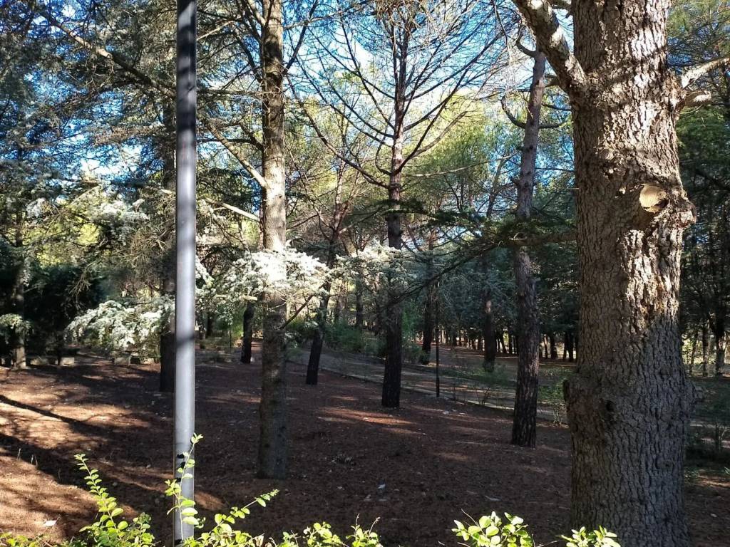 Villa a Andria in Strada Statale 170 - Foto 4