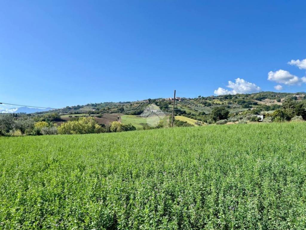 Terreno a Campli in Via della Madonna - Foto 5
