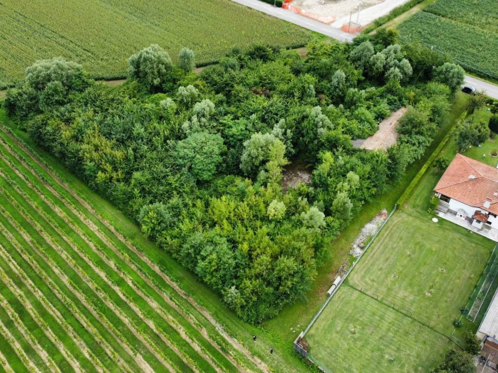Terreno a Pramaggiore in Via Stradone, 14 - Foto 2