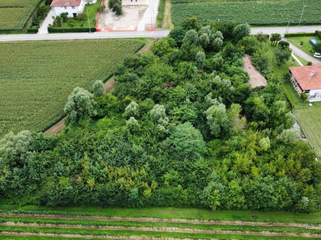 Terreno a Pramaggiore in Via Stradone, 14 - Foto 3