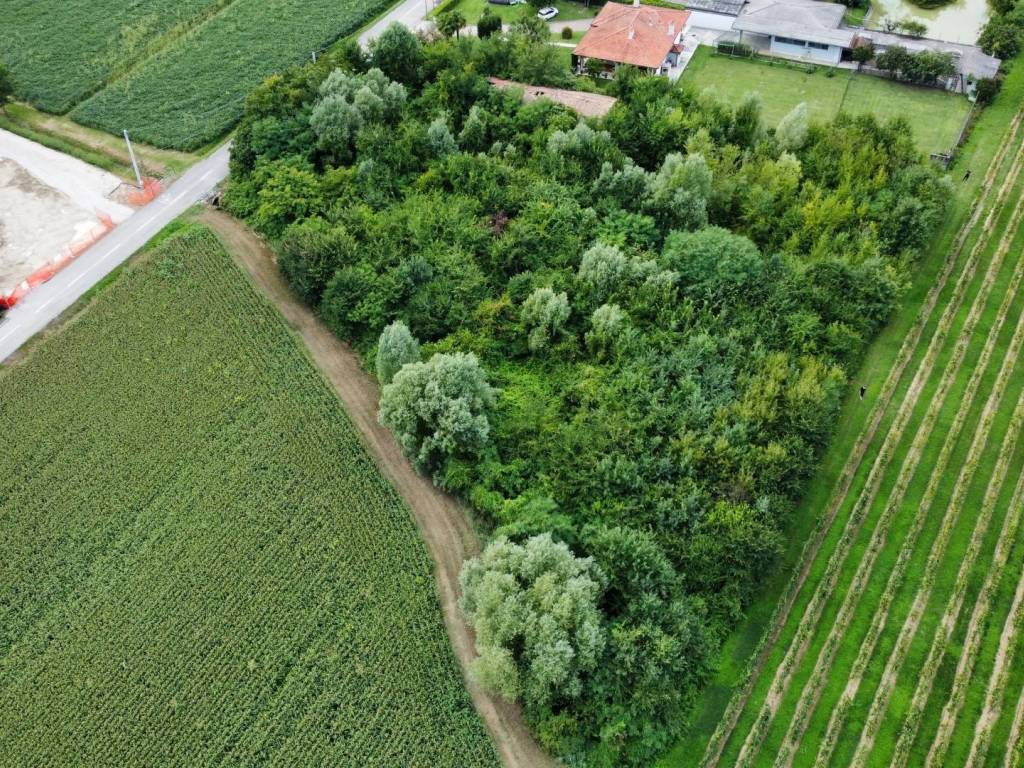 Terreno a Pramaggiore in Via Stradone, 14 - Foto 4