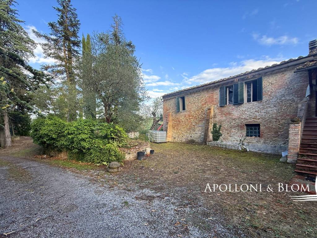 Rustico / casale a Asciano - Foto 4