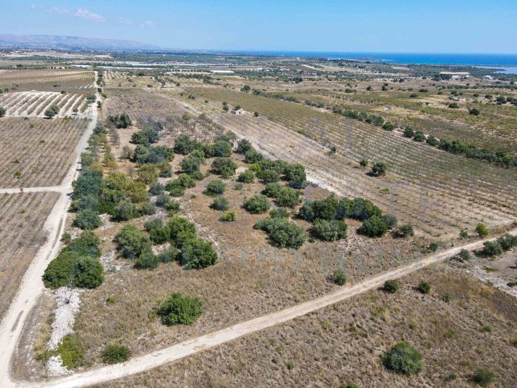 Rustico / casale a Noto in Via Tommaso Fazello, 228 - Foto 3