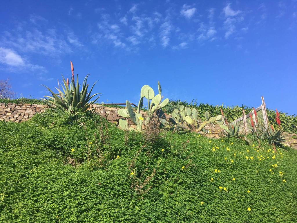 Terreno a Santo stefano al mare - Foto 3