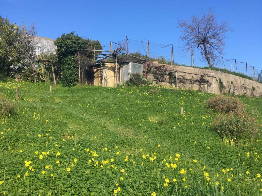 Terreno a Santo stefano al mare - Foto 4