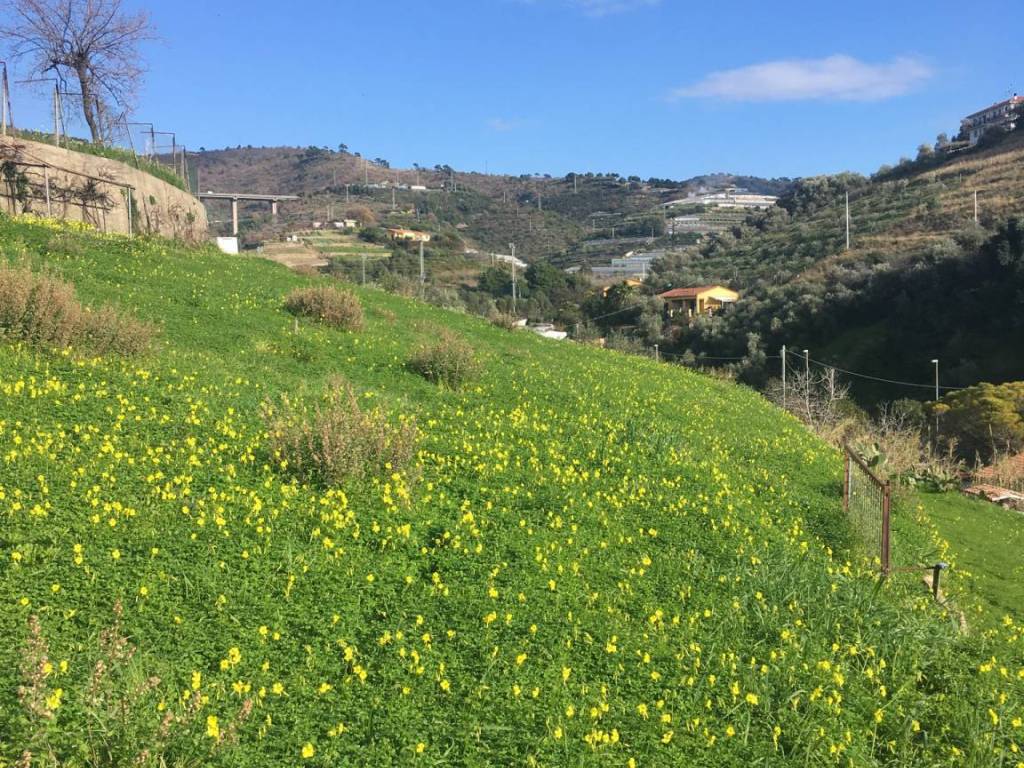 Terreno a Santo stefano al mare - Foto 5