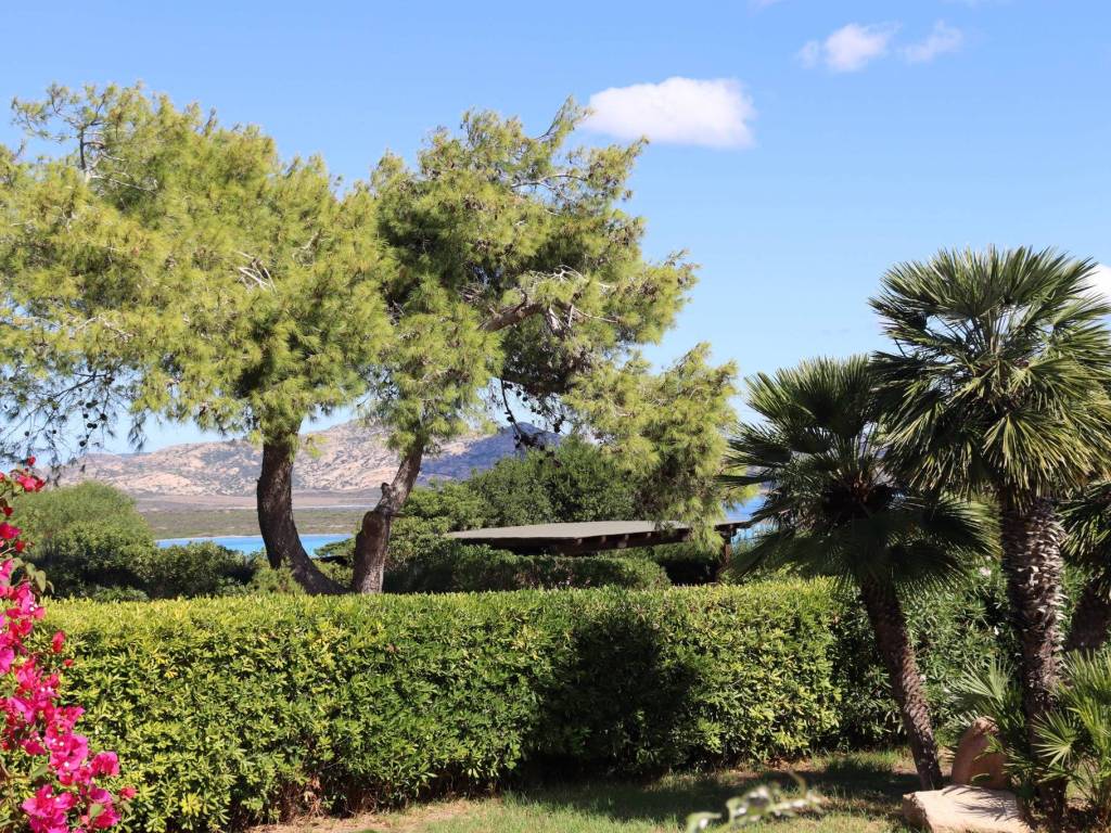 Villa a Stintino in Viale Giorgio Molfino - Foto 3