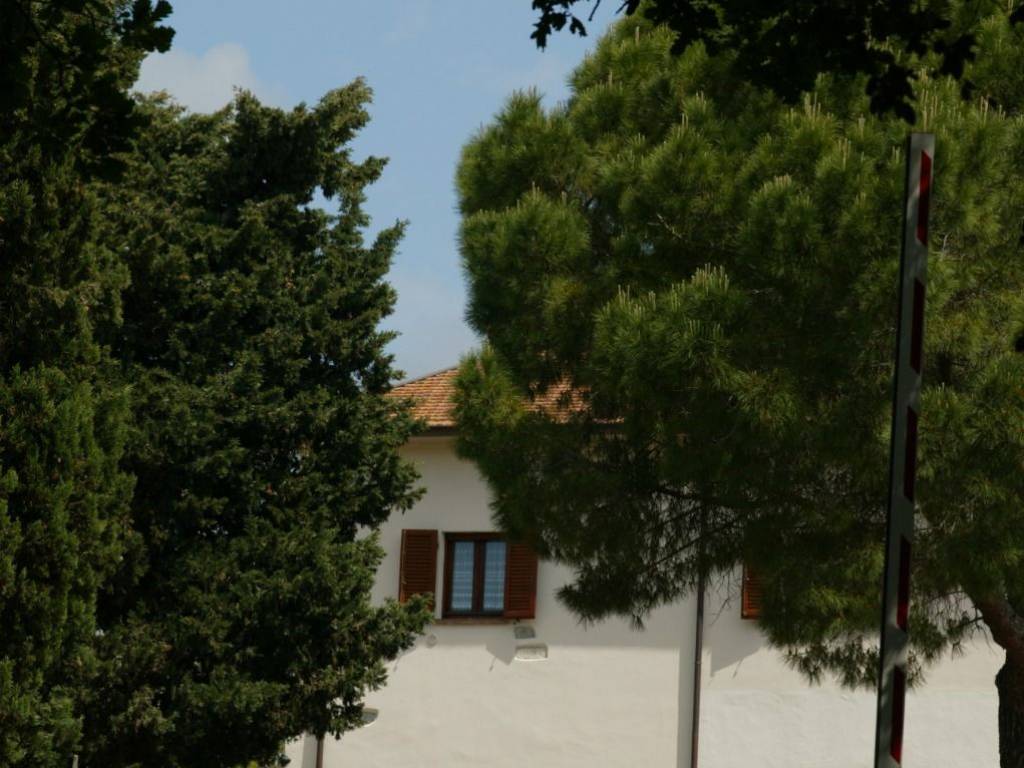 Rustico / casale a Rosignano marittimo - Foto 3