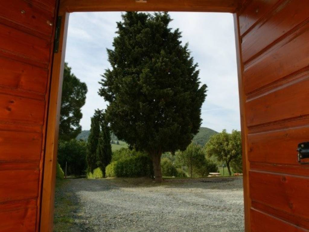 Rustico / casale a Rosignano marittimo - Foto 4