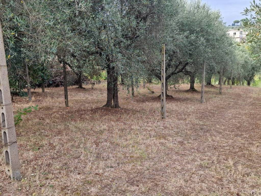 Terreno a Monte compatri in Via delle Marmorelle - Foto 3