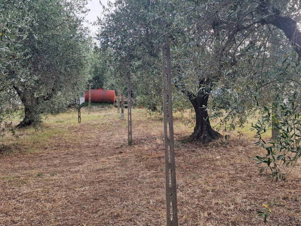 Terreno a Monte compatri in Via delle Marmorelle - Foto 5