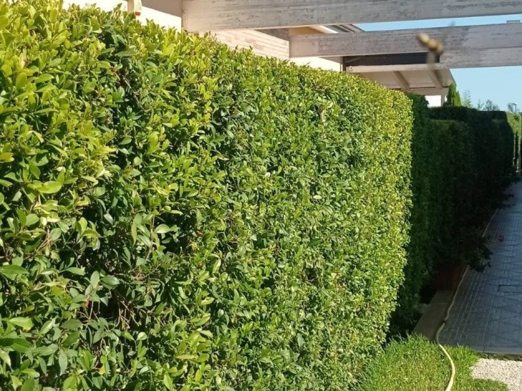 Villa a Settingiano in Via Sant'Antonio - Foto 5