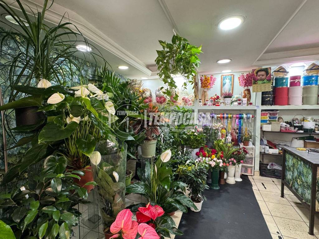 Immobile a Casoria in Via Padre Ludovico da Casoria 50 - Foto 4