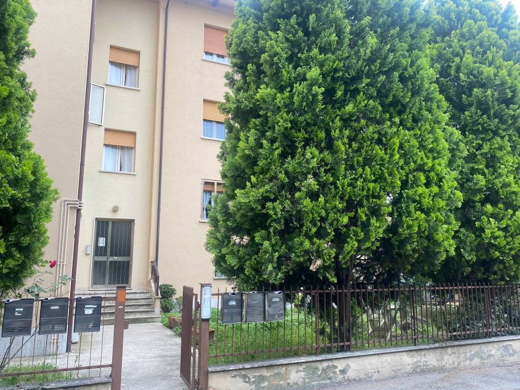 Appartamento a Imola - Foto 4