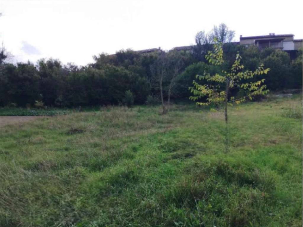 Casa indipendente a Montegrosso d'asti in Via Tana Alta - Foto 4