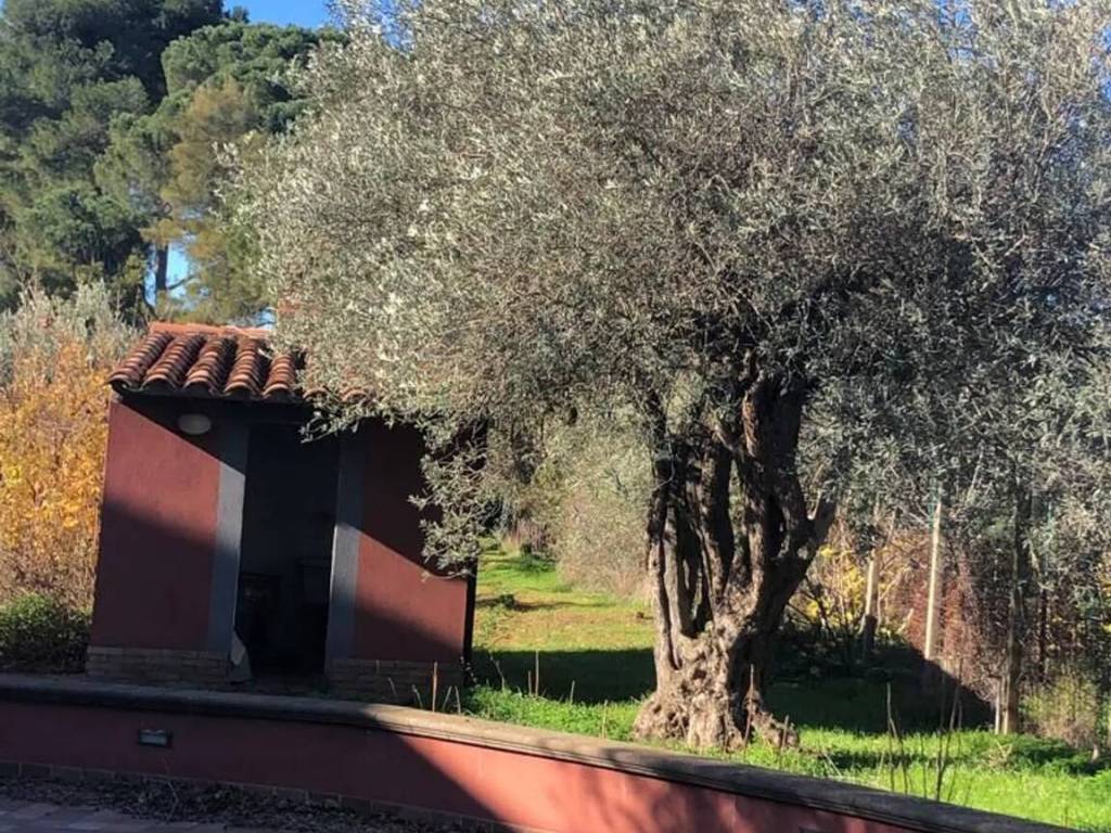 Villa a Caltanissetta - Foto 3