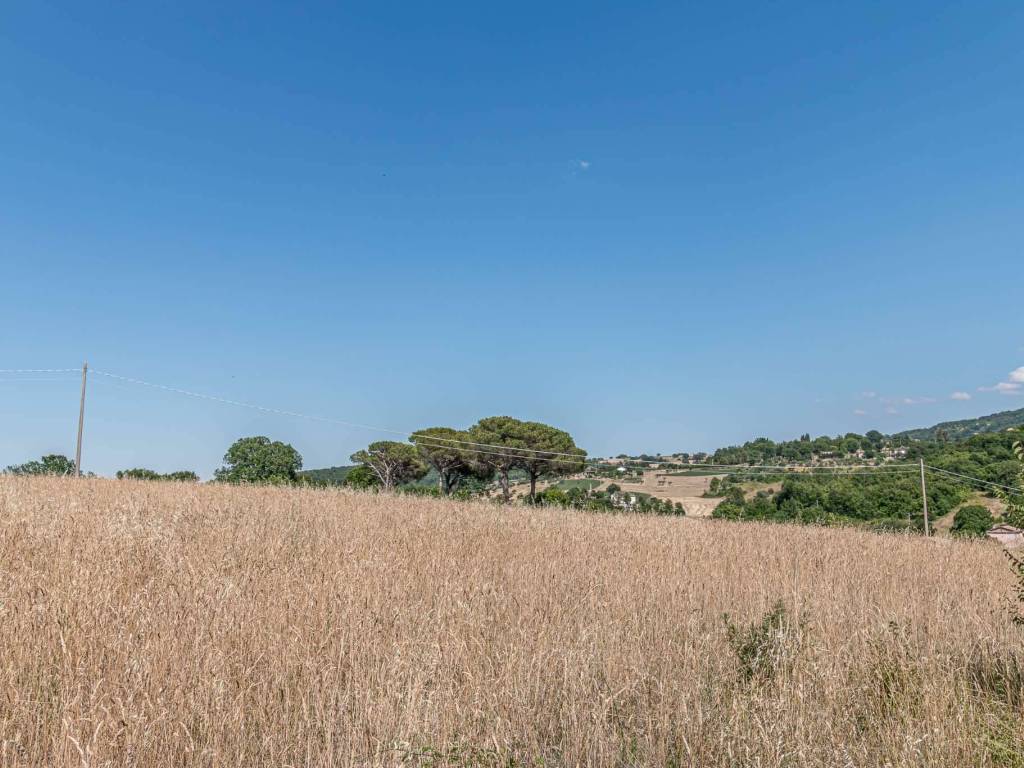 Terreno a Gildone in contrada San Sebastiano - Foto 2