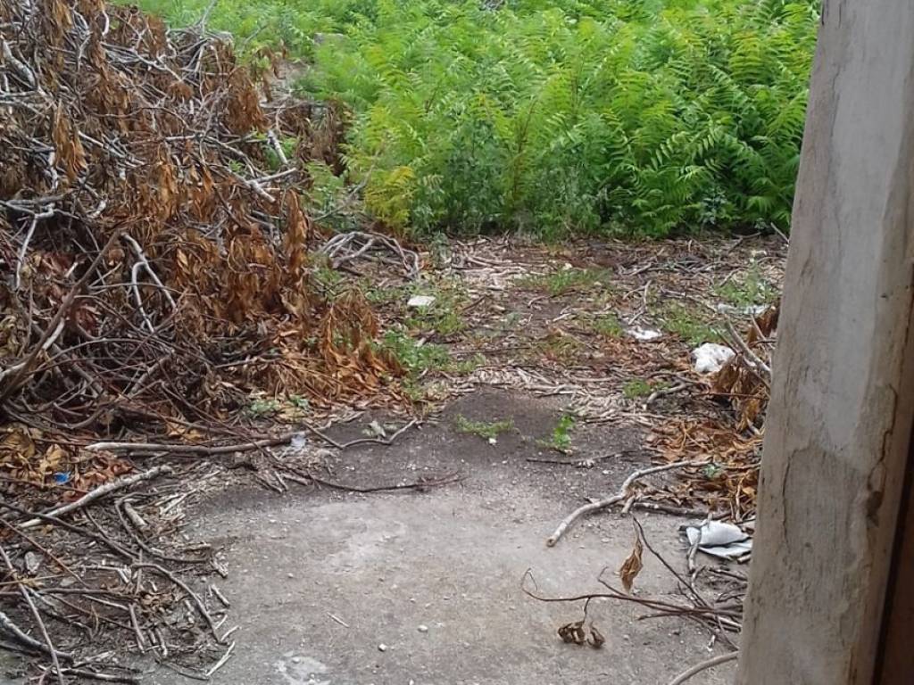 Rustico / casale a Melendugno in Via Nino Bixio, 7 - Foto 5