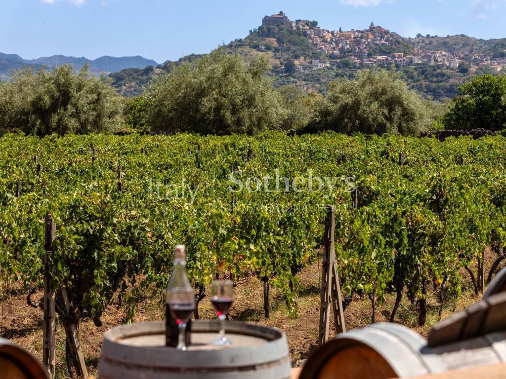 Rustico / casale a Castiglione di sicilia in C.da Pietramarina - Foto 4