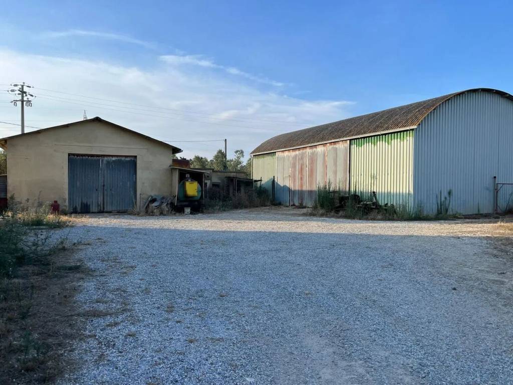 Rustico / casale a Campiglia marittima - Foto 3