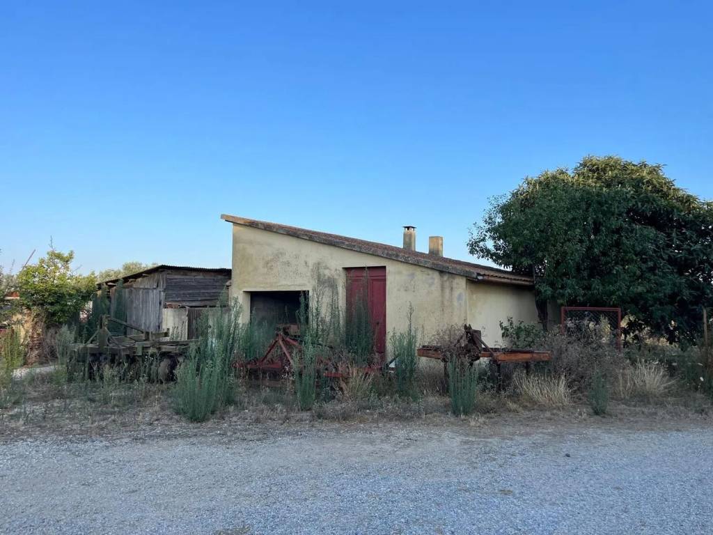 Rustico / casale a Campiglia marittima - Foto 4