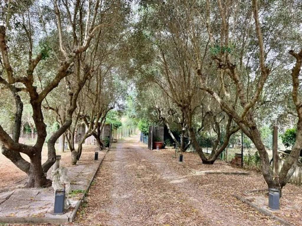 Rustico / casale a Gavorrano - Foto 3