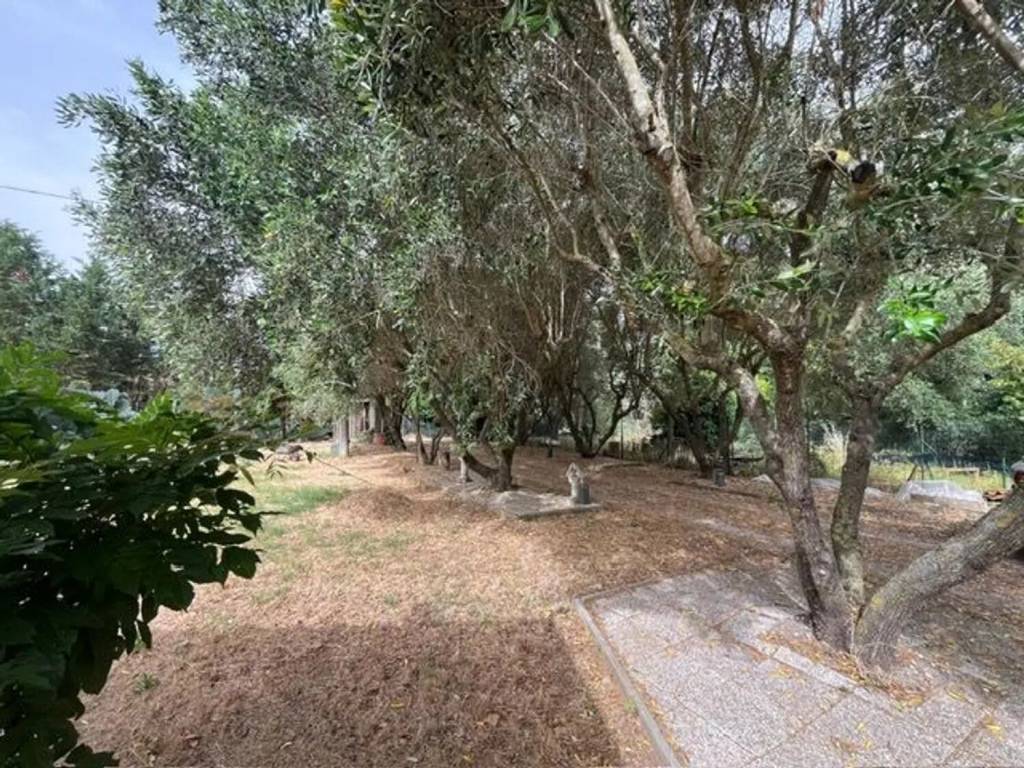 Rustico / casale a Gavorrano - Foto 4