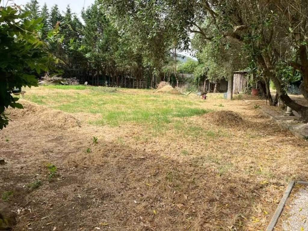 Rustico / casale a Gavorrano - Foto 5