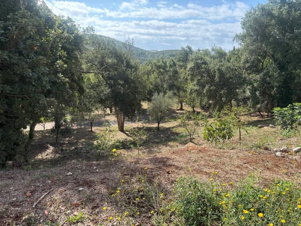 Villa a Itri in Contrada Vagnoli - Foto 3