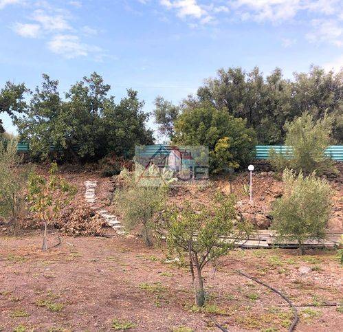 Terreno a Belpasso in Contrada Sarconte - Foto 2