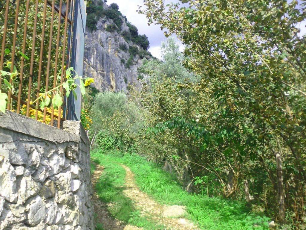Terreno a Montecorvino rovella in Via Fontana, 47 - Foto 3