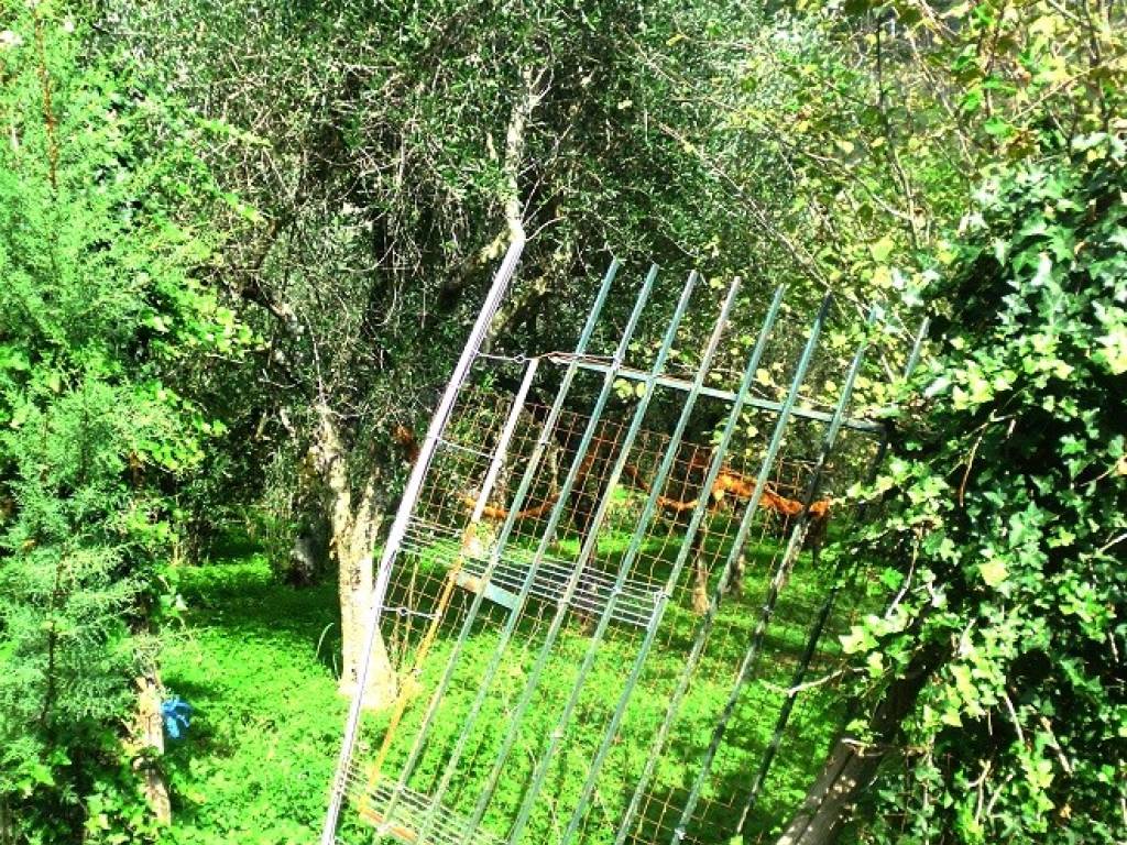 Terreno a Montecorvino rovella in Via Fontana, 47 - Foto 4
