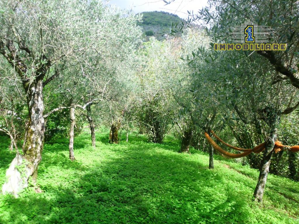Terreno a Montecorvino rovella in Via Fontana, 47 - Foto 5