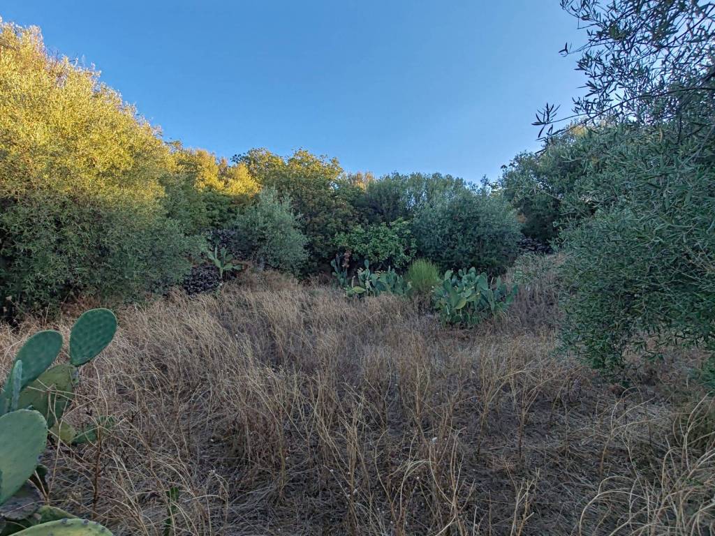 Terreno a Ragalna in Via Edmondo De Amicis, 9 - Foto 2
