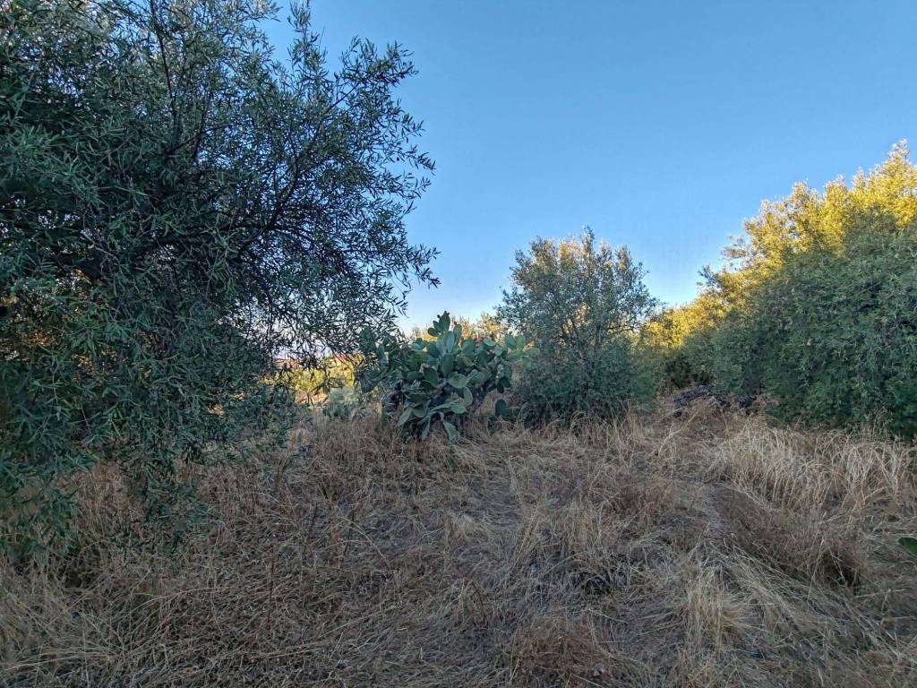 Terreno a Ragalna in Via Edmondo De Amicis, 9 - Foto 3