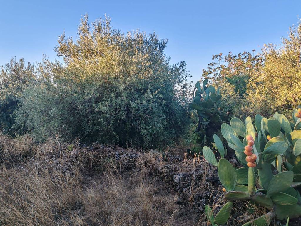 Terreno a Ragalna in Via Edmondo De Amicis, 9 - Foto 4