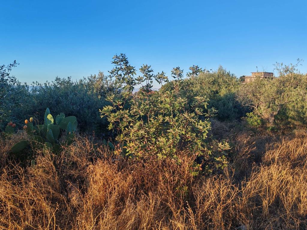 Terreno a Ragalna in Via Edmondo De Amicis, 9 - Foto 5