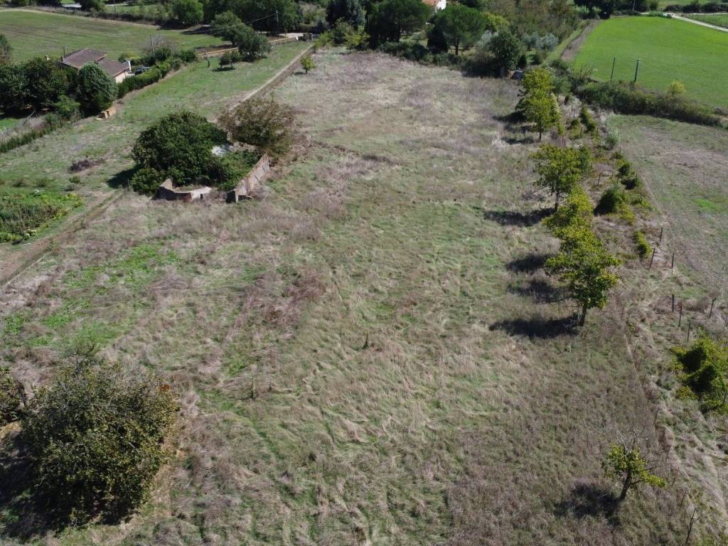 Rustico / casale a Mazzano romano in Via Romana - Foto 3