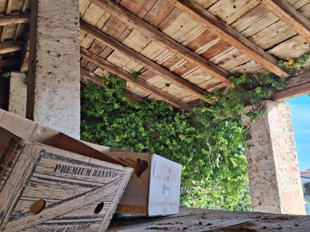 Rustico / casale a Mira in Via Primo Maggio, 57 - Foto 3