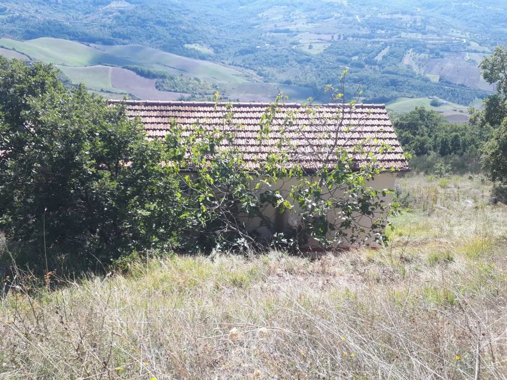 Rustico / casale a Ruvo del monte in Via Serre Del Salice - Foto 4